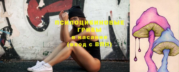 apvp Бугульма