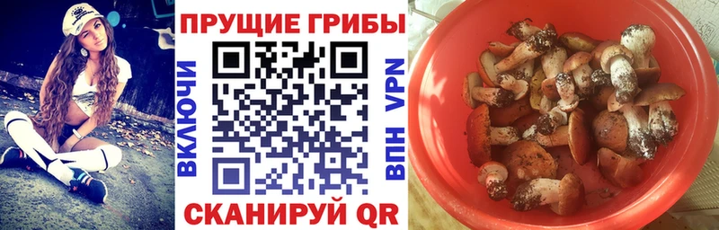 Купить закладки Канск Галлюциногенные грибы Psilocybe